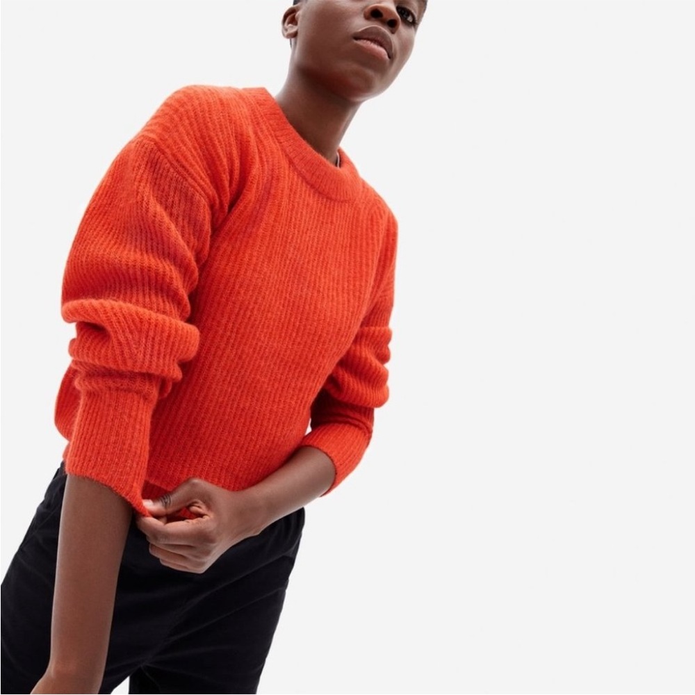 EVERLANE The Oversized Alpaca Crew Sweater in Currant